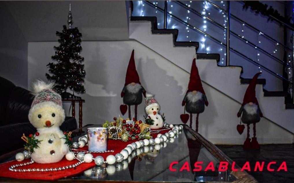 Casablanca Hostel Craiova Ngoại thất bức ảnh