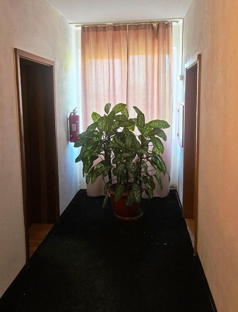 Casablanca Hostel Craiova Ngoại thất bức ảnh